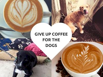 Give up coffee for Chained Dogs