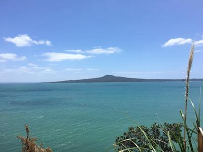 I Ran Over Rona - Heather