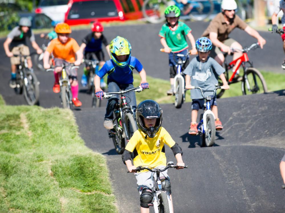 Nelson pump online track