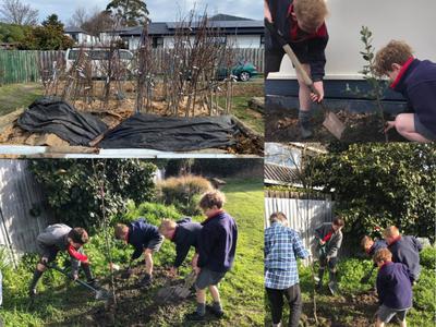 Feed the future with fruit trees for schools, community groups and public spaces in Canterbury.