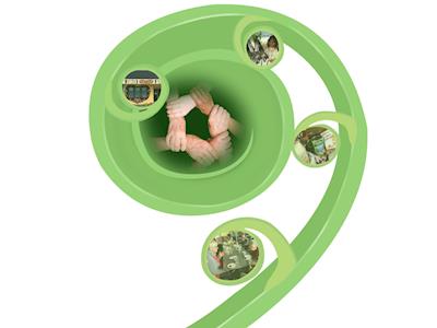 Kairos Connection Trust