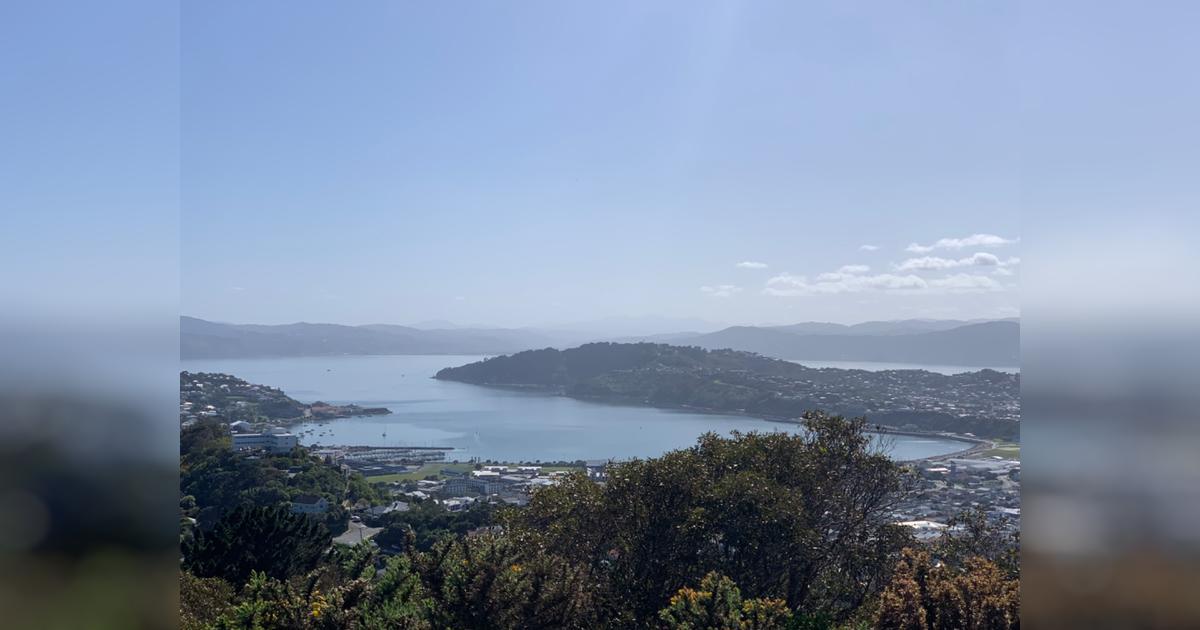 SOZO FOR WELLINGTON / TE WHANGANUI A TARA Givealittle