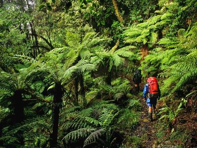 Matemateāonga Track restoration