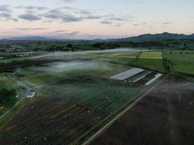 Delivering Aid to Ukraine through New Zealand Kumara supply!