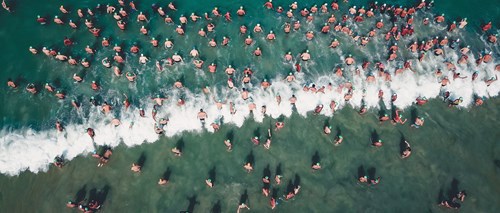 A big bunch of swimmers heading into the surf, seen from above