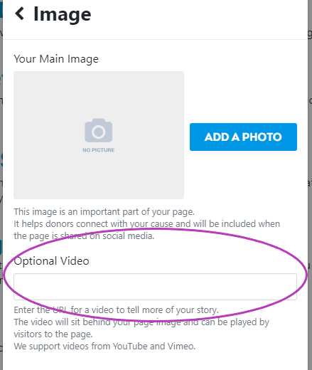 The Image section, showing where you can add your video URL
